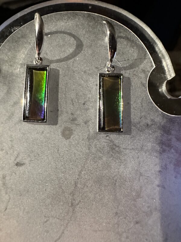 Earrings Ammolite Hanging